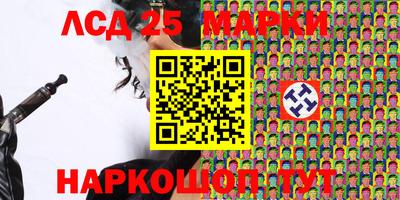 шишки Славгород