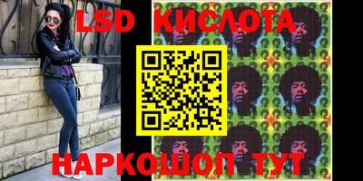 шишки Славгород