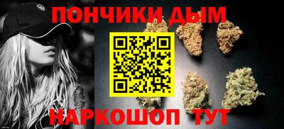 шишки Славгород