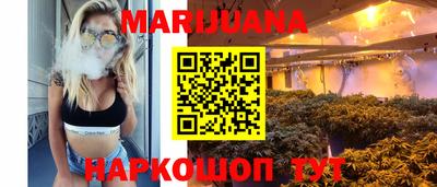 шишки Славгород