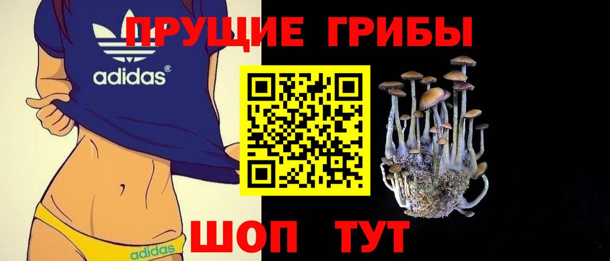 Галлюциногенные грибы Psilocybine cubensis Нижнекамск