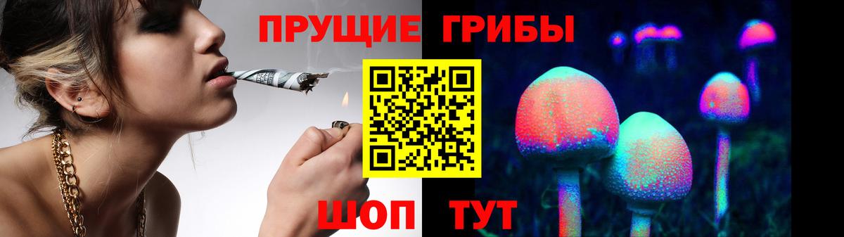 Псилоцибиновые грибы прущие грибы  Вход с VPN  Галлюциногенные грибы Psilocybine cubensis  Нижнекамск 